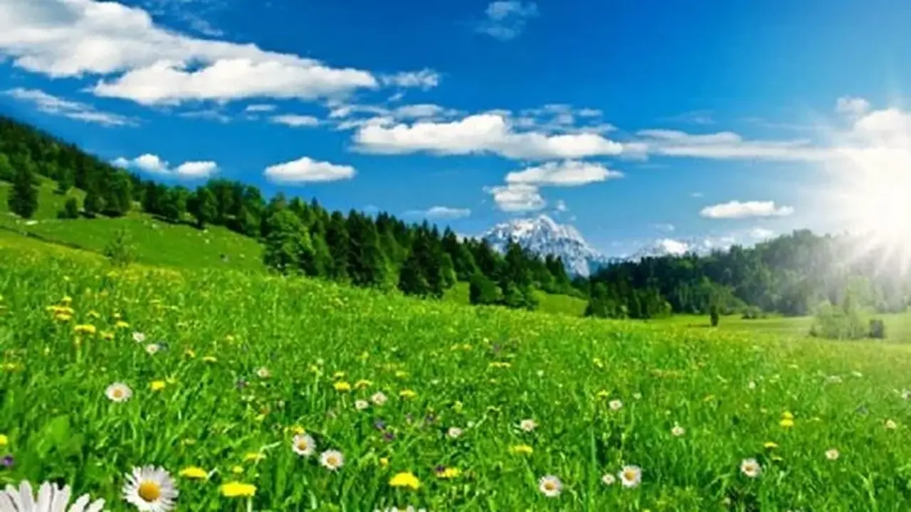 استمرار الأجواء المعتدلة في معظم المناطق حتى حلول يوم السبت المقبل